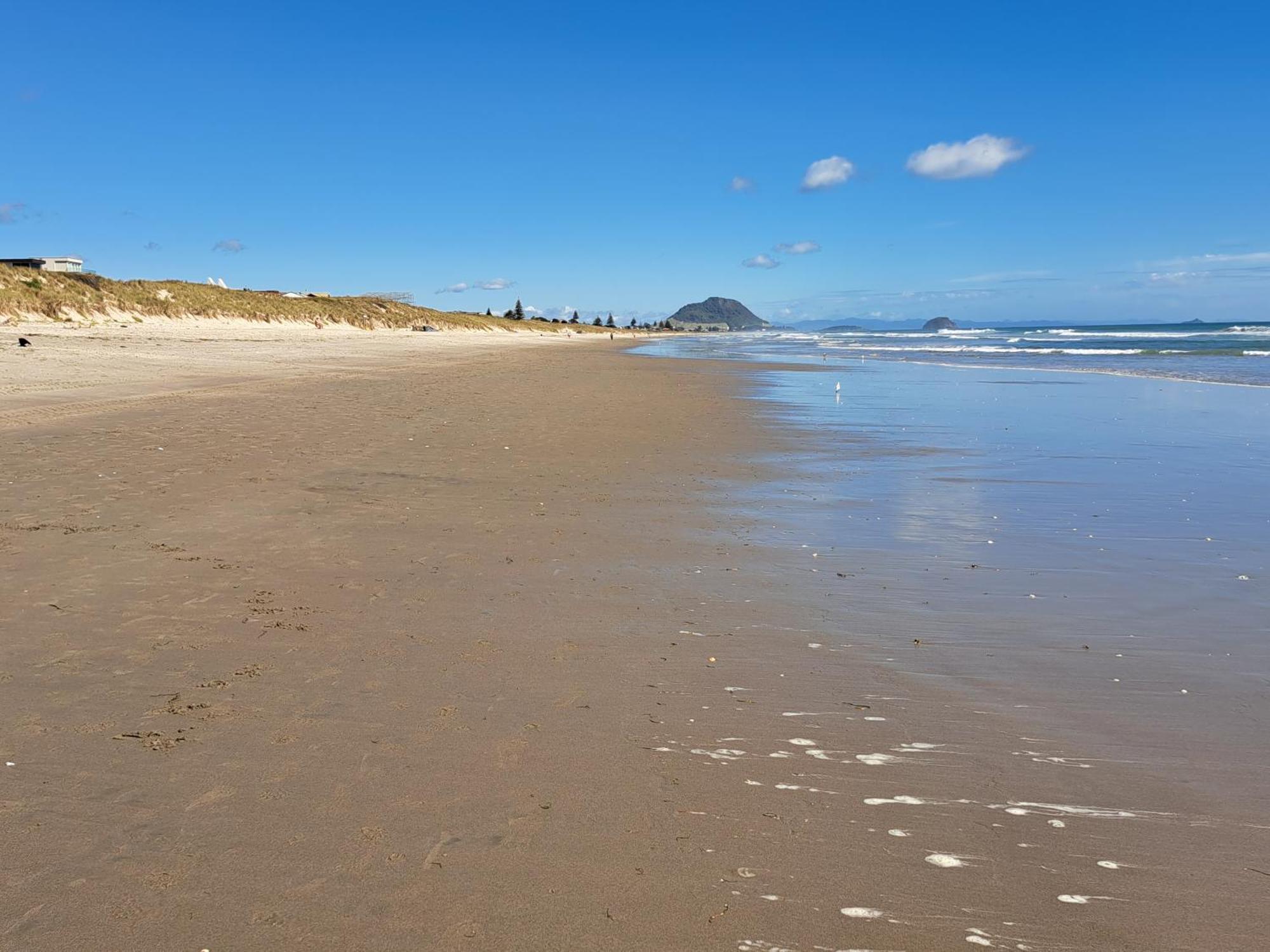 Sunbrae Beach Sanctuary Free High Fibre Wifi Mount Maunganui Esterno foto